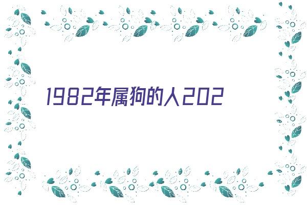 1982年属狗的人2020年运程《1982年属狗的人2020年运势》