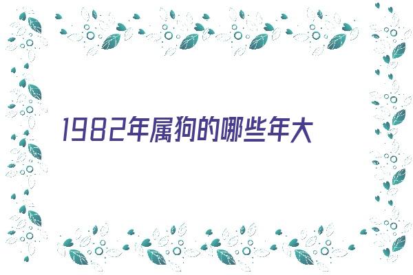 1982年属狗的哪些年大运《1982年属狗的哪些年大运好》