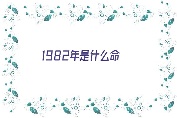 1982年是什么命《1982年是什么命五行属什么命》