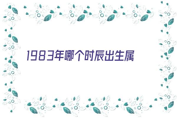 1983年哪个时辰出生属猪的好《1983年哪个时辰出生属猪的好命》