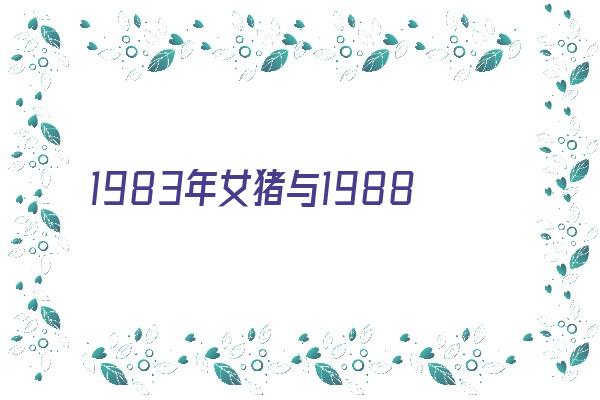 1983年女猪与1988年男龙相配吗《1983年女猪和1988年男龙相配吗》