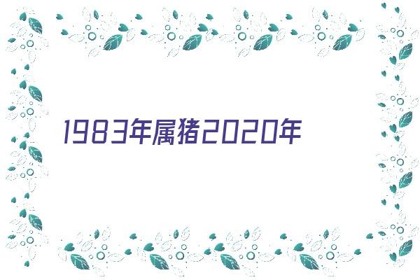 1983年属猪2020年运势《1983年属猪的2020年运势》