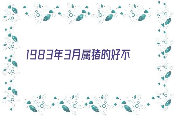 1983年3月属猪的好不好《1983年3月属猪的好不好婚姻》