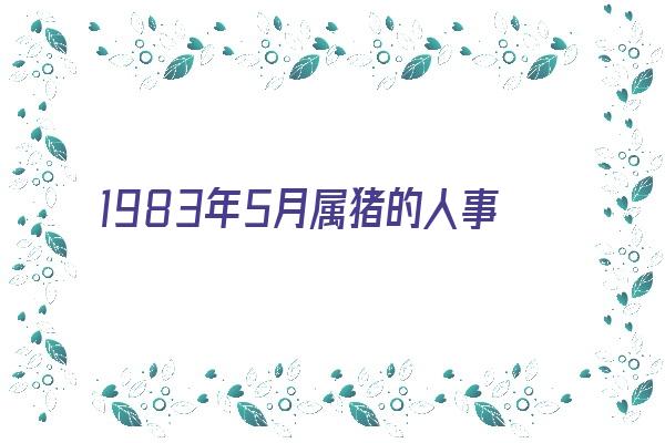 1983年5月属猪的人事业怎样《1983年5月出生属猪运势》