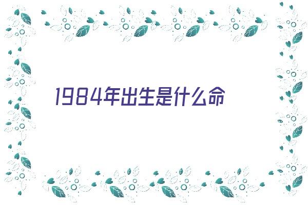 1984年出生是什么命《1984年出生是什么命五行属什么属性》