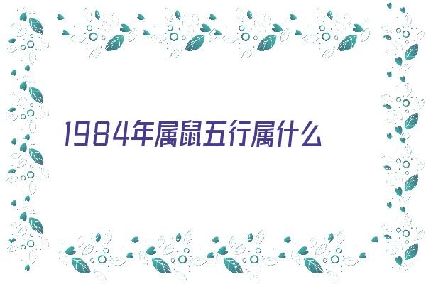 1984年属鼠五行属什么《1984年属鼠是什么命》