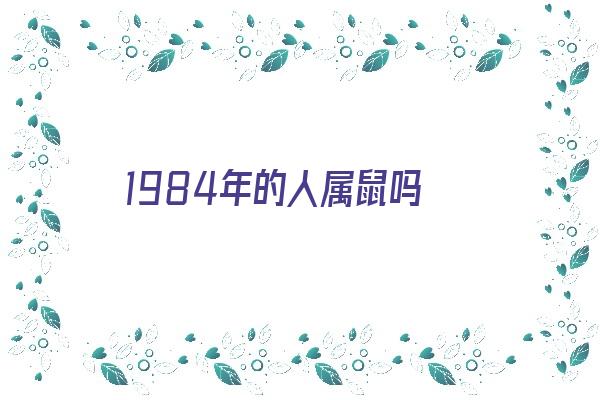 1984年的人属鼠吗《1984年属鼠吗?》