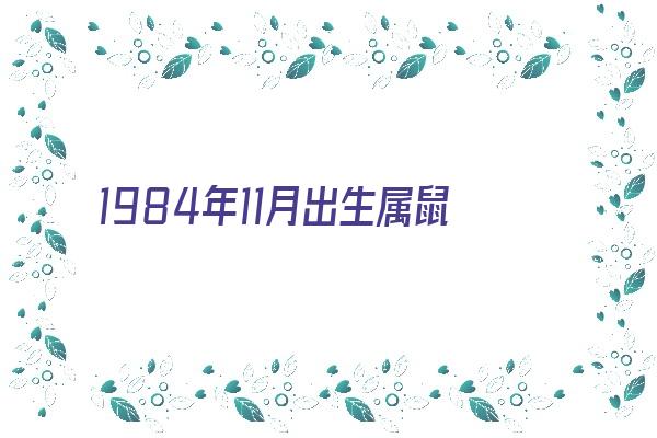 1984年11月出生属鼠女人感情如何《1984年11月出生属鼠女人感情如何呢》