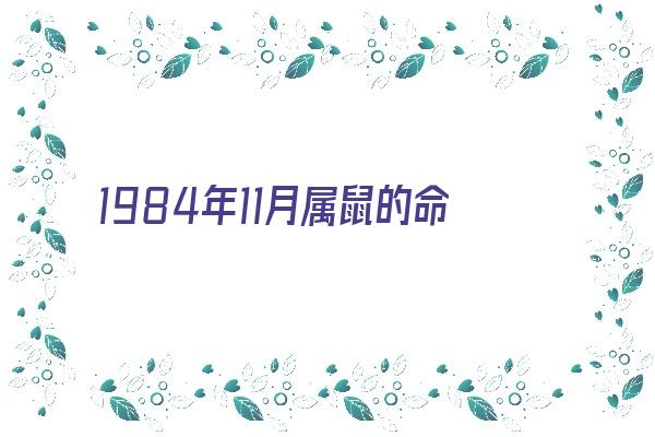  1984年11月属鼠的命运和性格《1984年11月属鼠的命运和性格如何》 生肖运势