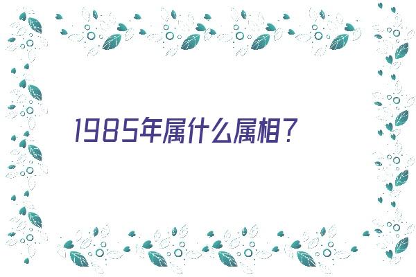 1985年属什么属相？