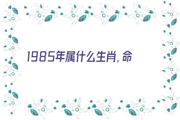 1985年属什么生肖，命格怎么样？