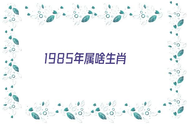 1985年属啥生肖