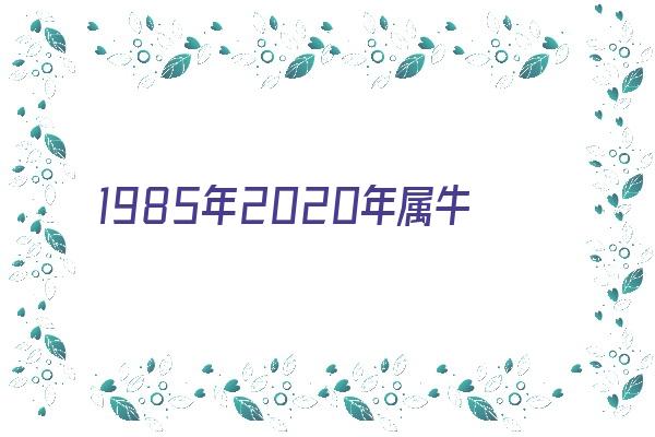 1985年2020年属牛运势