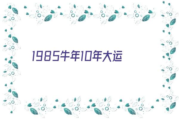  1985牛年10年大运《1985属牛人十年大运》 生肖运势