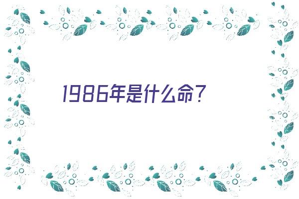  1986年是什么命？《1986年是什么命五行属什么命》 生肖运势