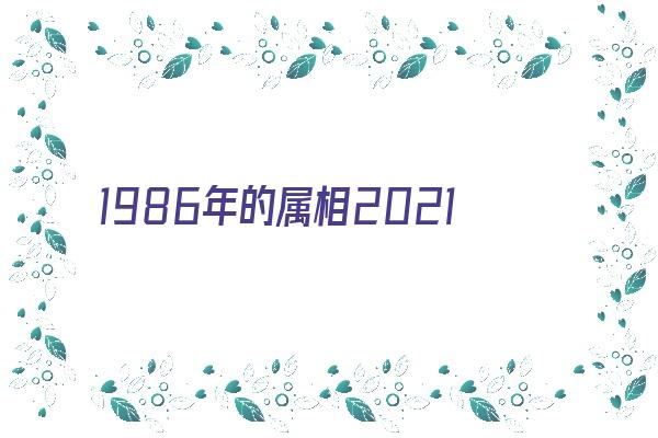 1986年的属相2021年运势《1986年属2021年运势及运程》