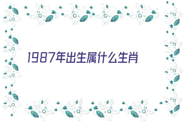 1987年出生属什么生肖一生运势《1987年出生属什么生肖一生运势好》