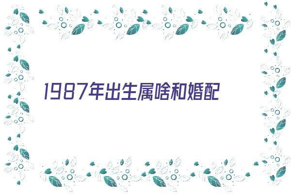 1987年出生属啥和婚配《1987年出生宜和什么属相婚配》