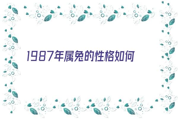 1987年属兔的性格如何《1987年的属兔的性格怎么样》