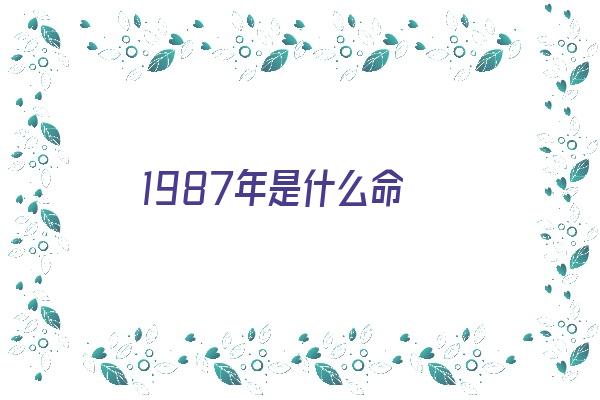 1987年是什么命《1987年是什么命五行属什么命》