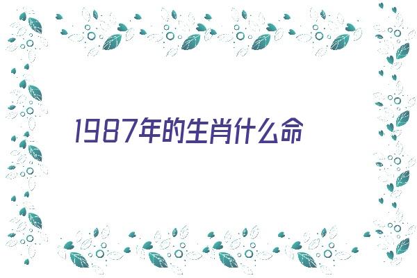 1987年的生肖什么命《1987年的生肖是什么命》