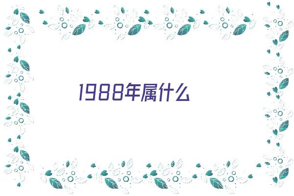 1988年属什么