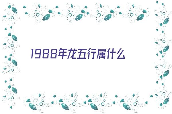 1988年龙五行属什么《1988年龙五行属什么命》