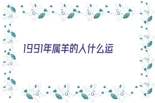 1991年属羊的人什么运《1991年属羊的人什么运气最好》