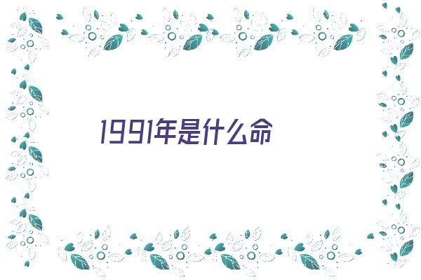  1991年是什么命《1991年是什么命五行属什么命》 生肖运势