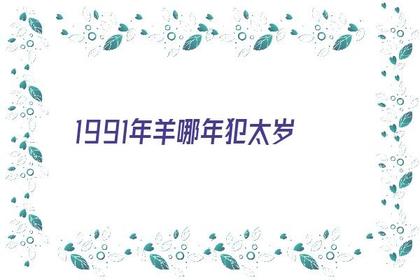 1991年羊哪年犯太岁《1991年的羊哪年犯太岁》