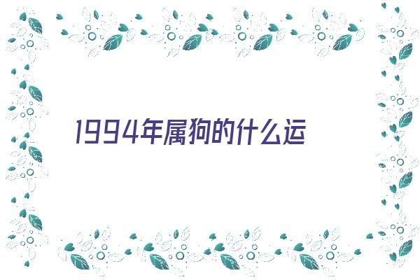 1994年属狗的什么运《1994年属狗的什么运气最好》