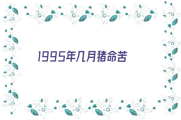  1995年几月猪命苦 生肖运势