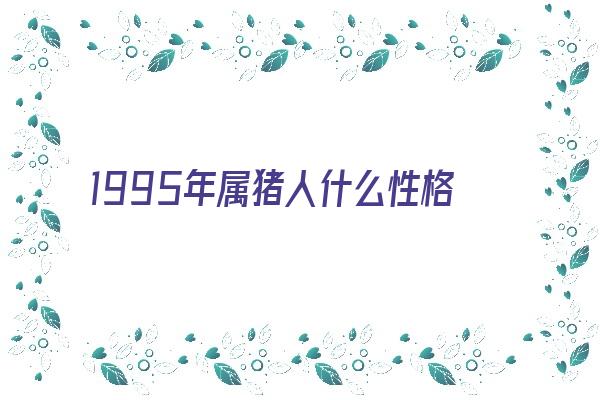 1995年属猪人什么性格