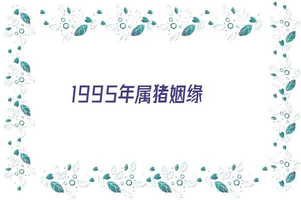 1995年属猪姻缘