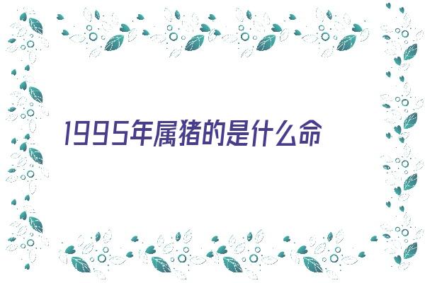  1995年属猪的是什么命 生肖运势