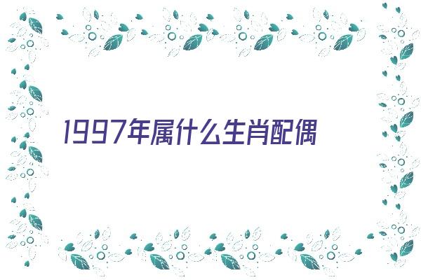 1997年属什么生肖配偶《1997年属什么生肖配偶能与羊相配》