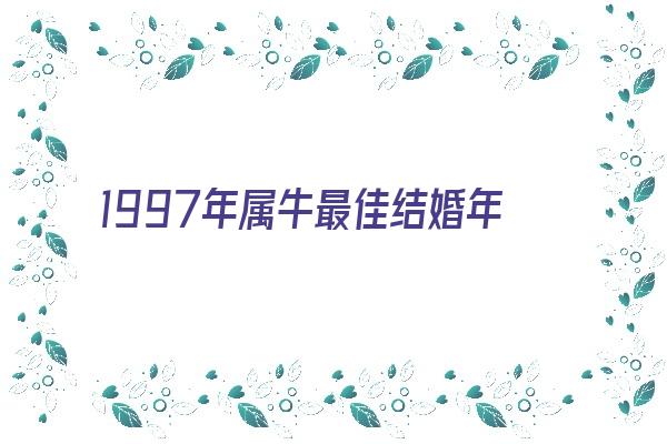  1997年属牛最佳结婚年龄《1997年属牛最佳结婚年龄女》 生肖运势