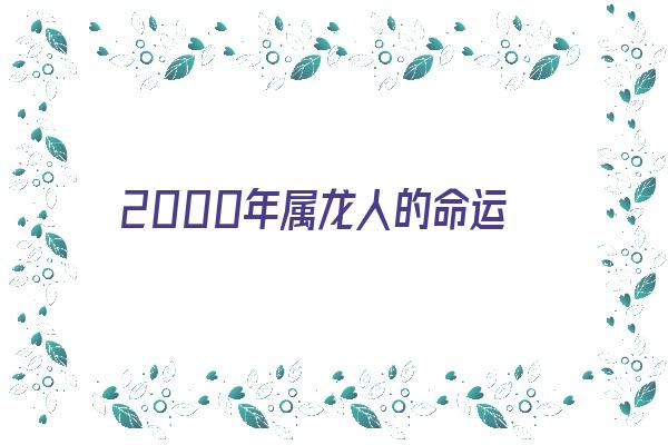 2000年属龙人的命运《2000年属龙人的命运分析》