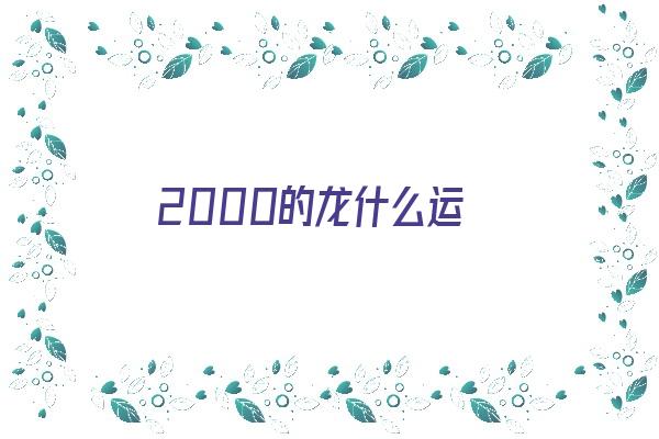 2000的龙什么运《2000属龙的命运》