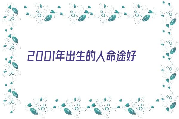 2001年出生的人命途好坏《2001年出生的人命途好坏怎么看》