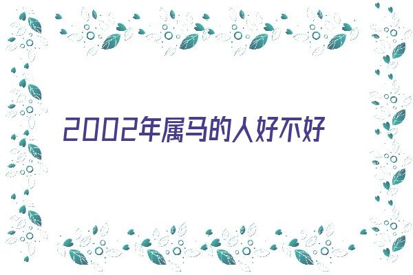  2002年属马的人好不好《2002年属马的人好不好运》 生肖运势