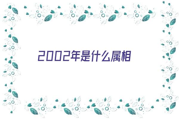 2002年是什么属相《2002年是什么属相什么命》