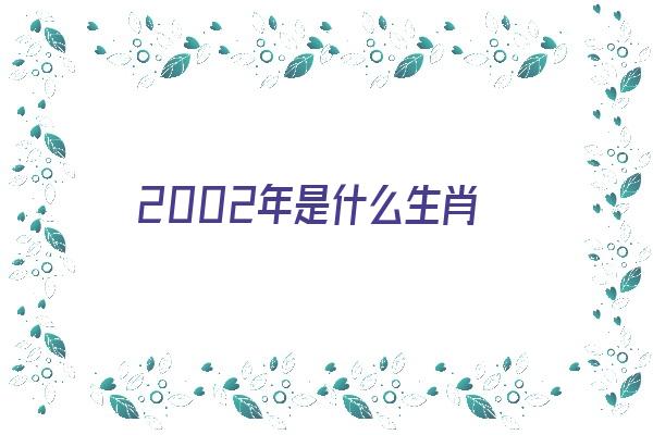 2002年是什么生肖《2002年是什么生肖年》