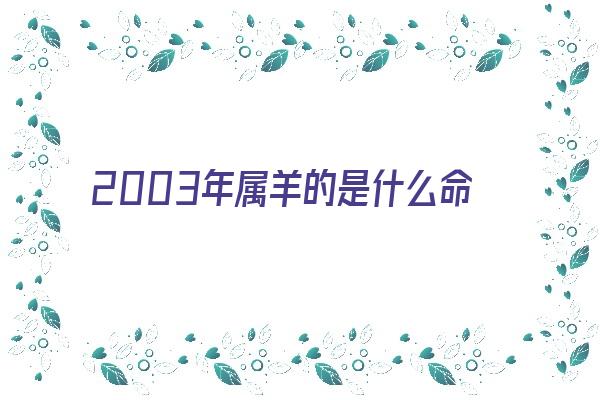 2003年属羊的是什么命《2003年属羊的是什么命五行缺什么》