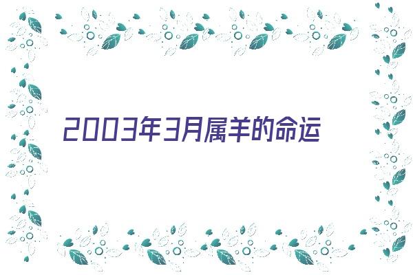 2003年3月属羊的命运性格《2003年3月属羊的命运性格如何》