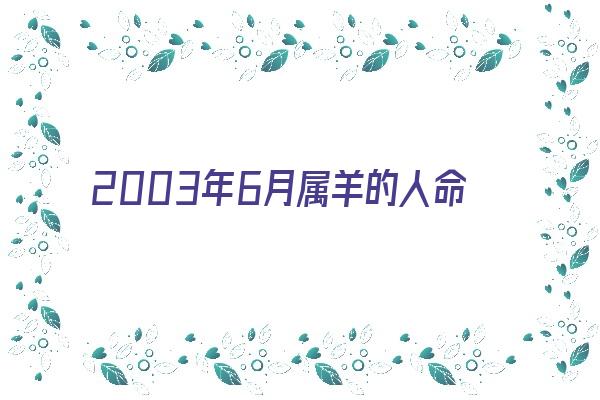 2003年6月属羊的人命运性格《2003年6月属羊的人命运性格如何》