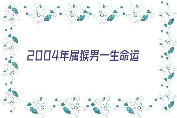  2004年属猴男一生命运《2004年属猴男一生命运八月初七出生的男孩》 生肖运势