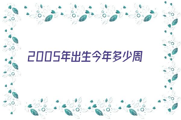 2005年出生今年多少周岁