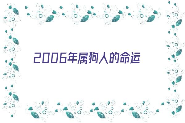 2006年属狗人的命运《2006年属狗人的命运如何》