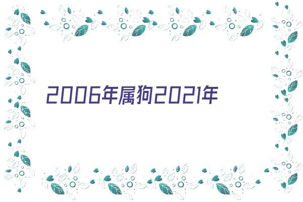 2006年属狗2021年学业《2006年属狗2021学业怎样》